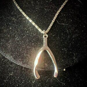 Sterling Silver Necklace with Wishbone Pendant